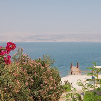 The Dead Sea